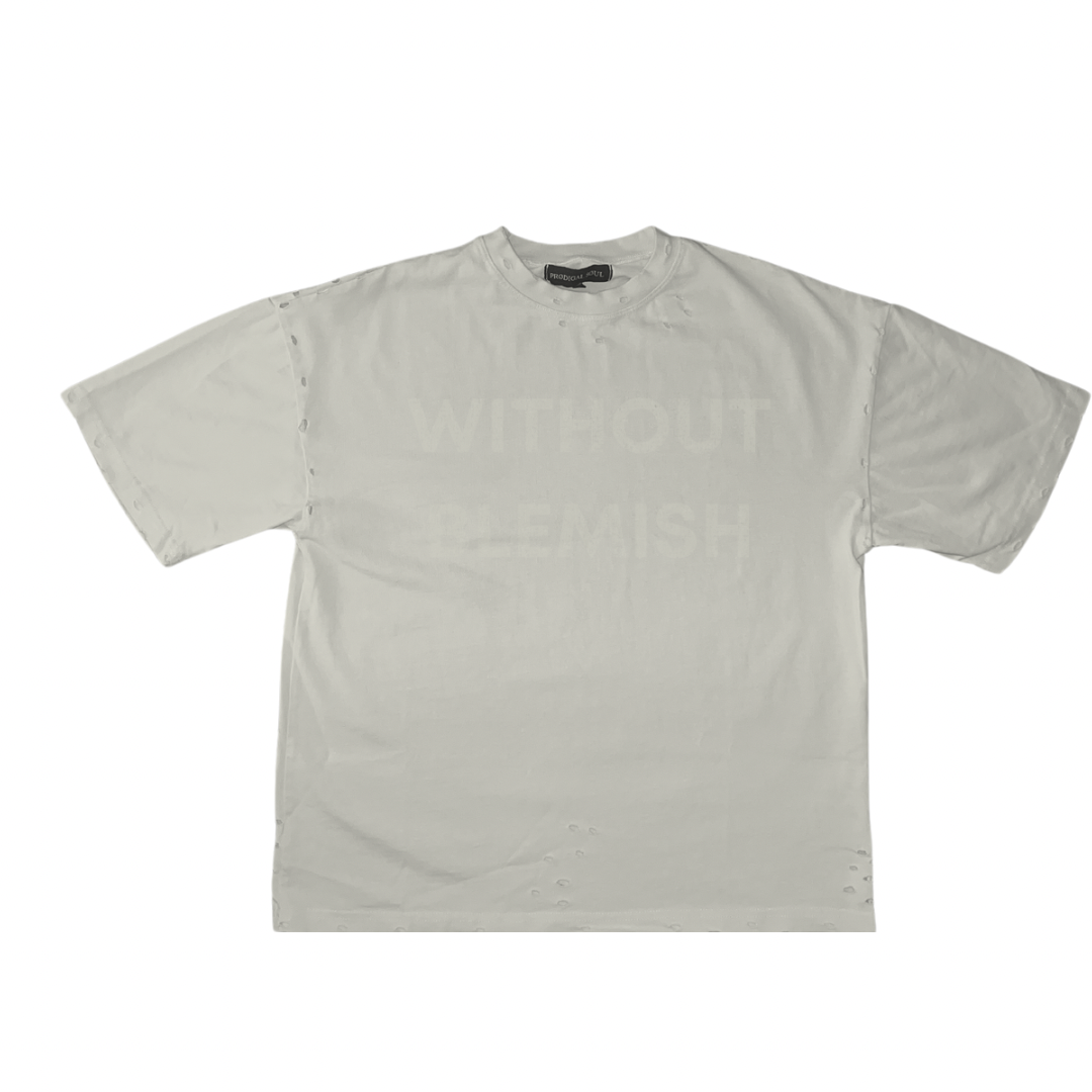 "Without Blemish" Distressed Heavyweight Tee